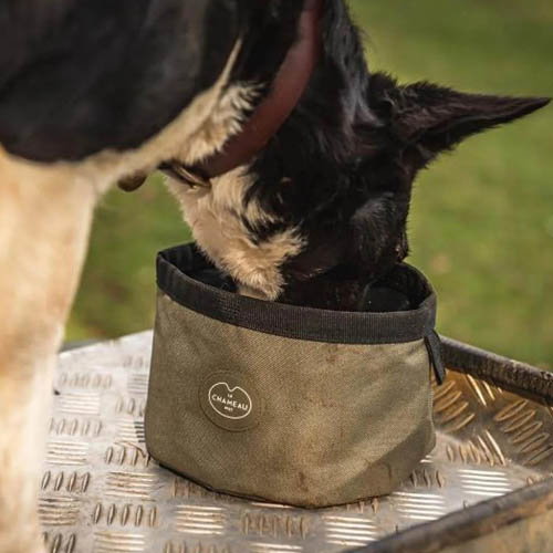 Shop Le Chameau Portable Dog Bowl