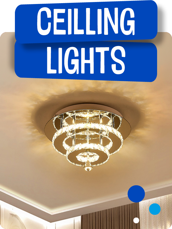 Ceiling lights