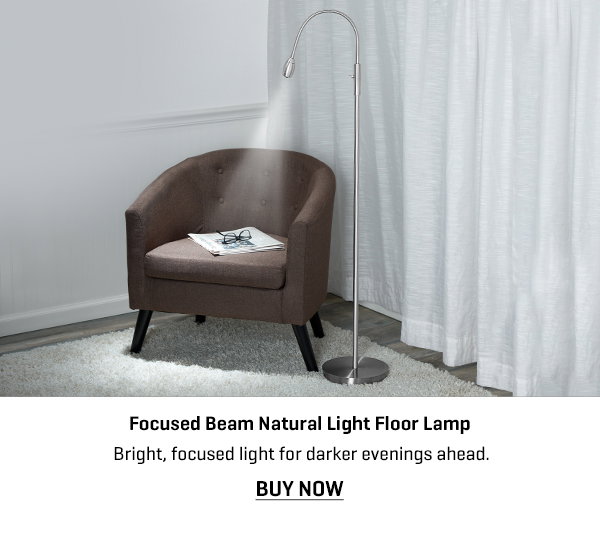 Focused Beam Natural Light Floor Lamp