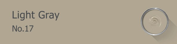 Rectangle banner of Light Gray