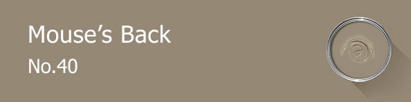 Rectangle banner of Mouse's Back