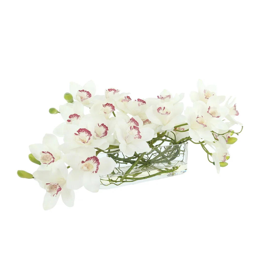 Orchids Arranged in Oval Glass Vase with Curly Willow