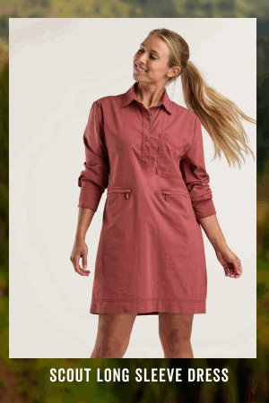 Shop the Scout Long Sleeve Dress