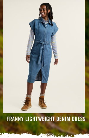 Shop the Franny Lightweight Denim Dress