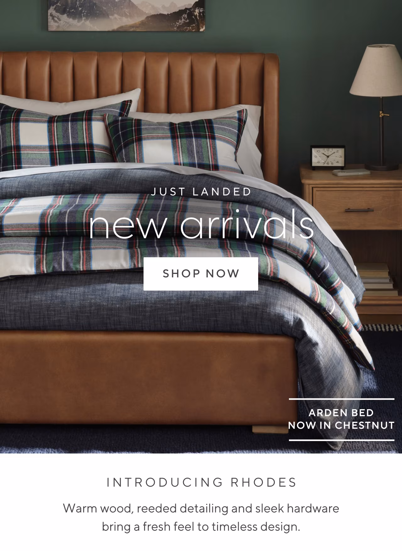 1000+ new arrivals