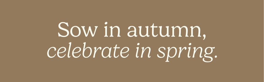 Sow in autumn, celebrate in spring.