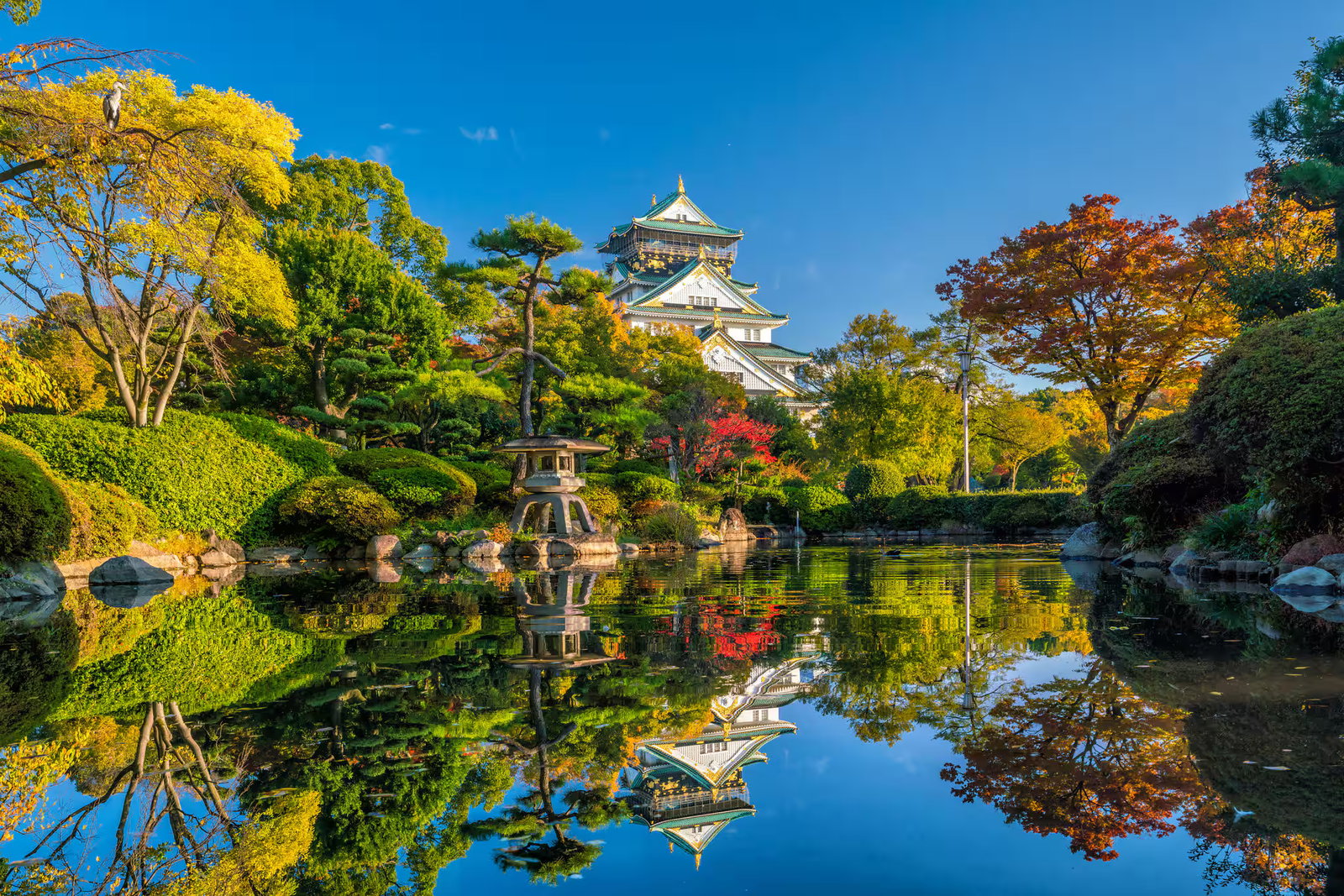 Japan and Korea 9-Night Cruise