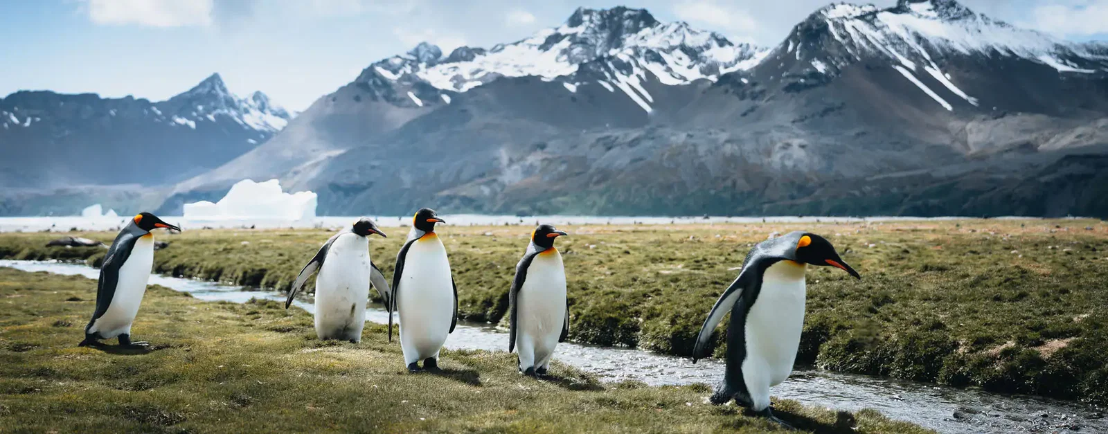 South America 15-Night Cruise