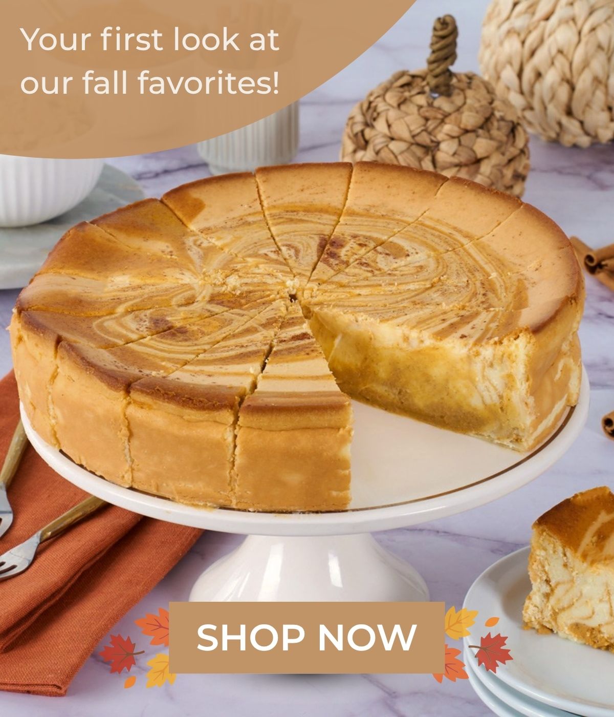 Your First Look at our fall favorites