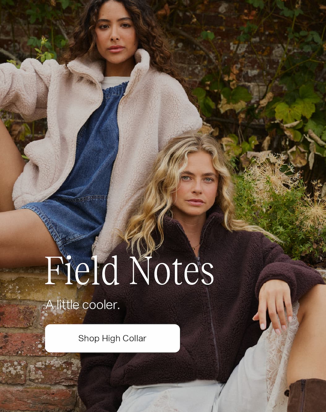 Field Notes early access