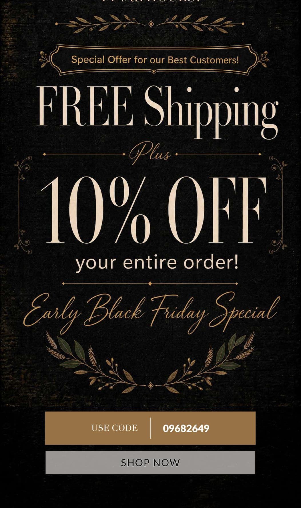 Special Offer for our Best Customers! FREE Shipping Plus 10% Off on Any Order!  Early Black Friday Special