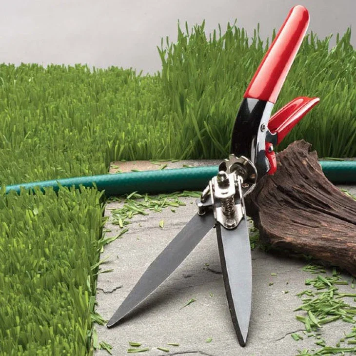 Image of Grass Trimming Shears