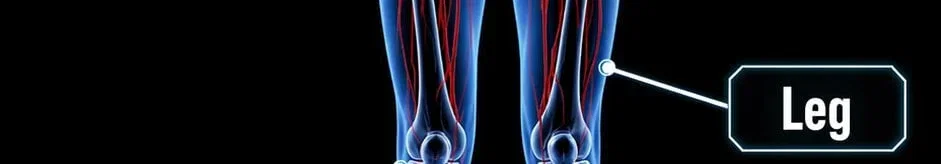 DonJoyStore_Leg