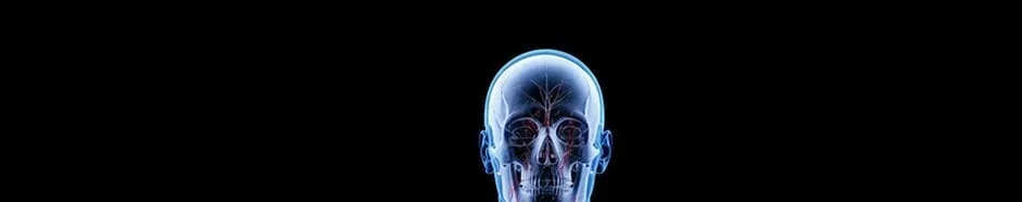 DonJoyStore_Head_no-label
