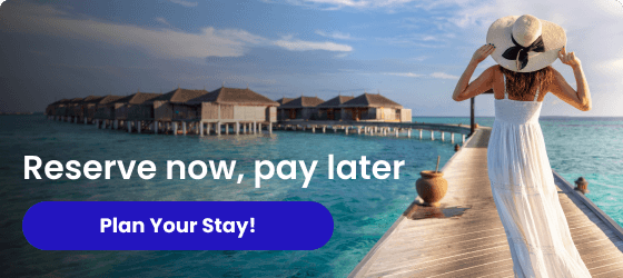 International Travel Deals!