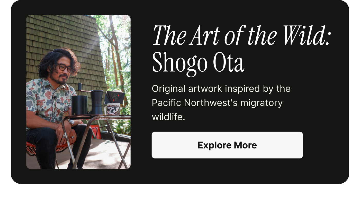 Explore the Shogo Ota Artist series