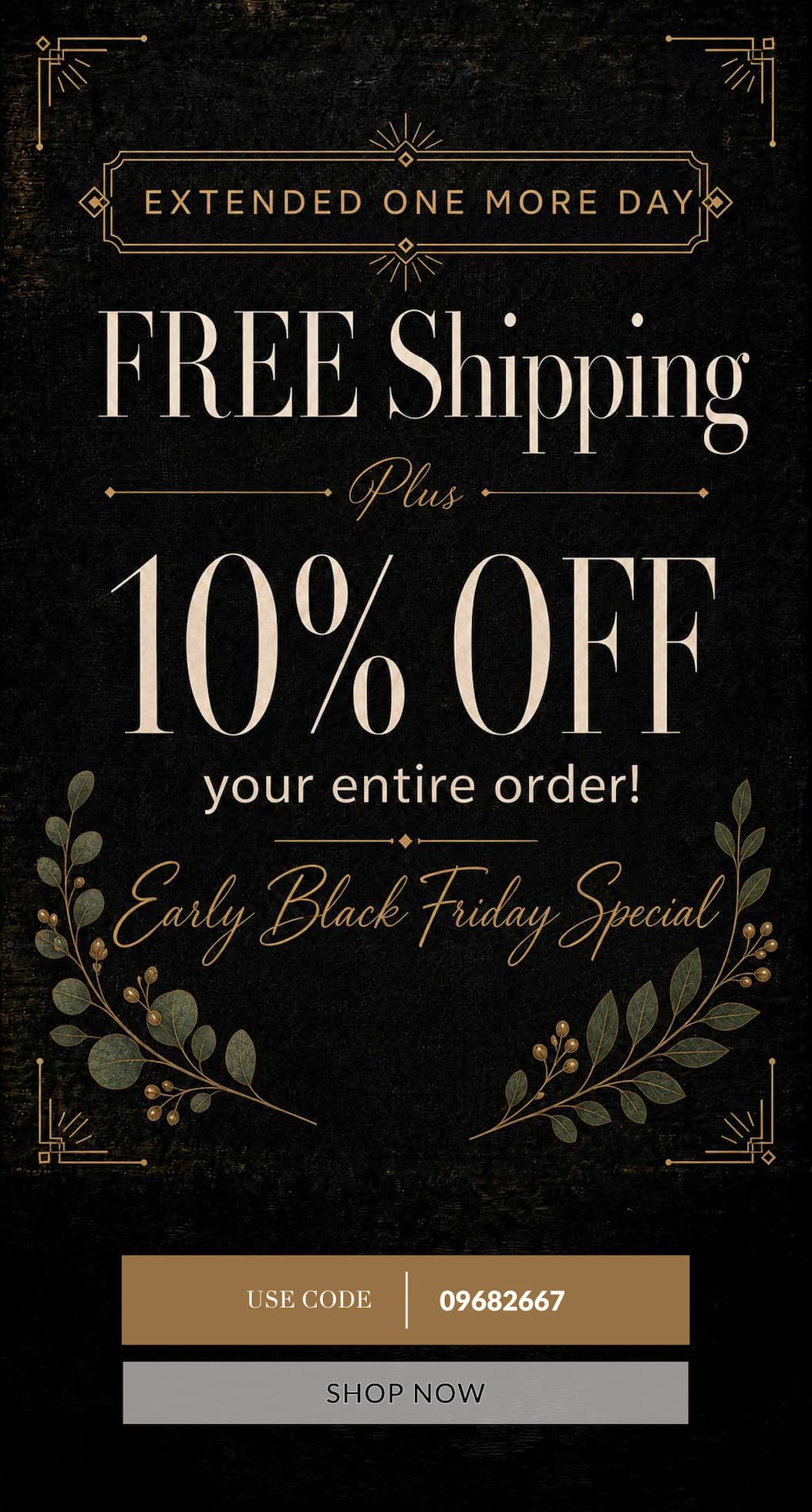 EXTENDED ONE MORE DAY Free Shipping Plus 10% Off Any order Early Black Friday Special