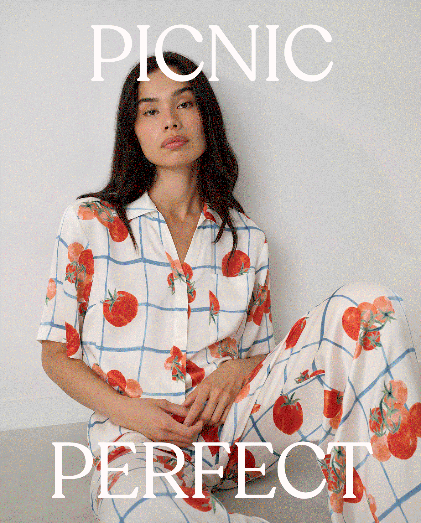 Picnic Perfect 