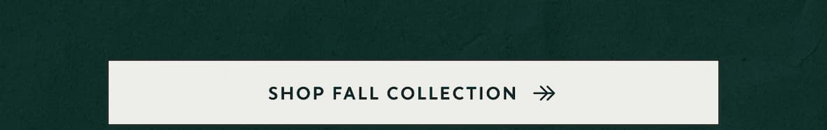 Shop Fall Collection