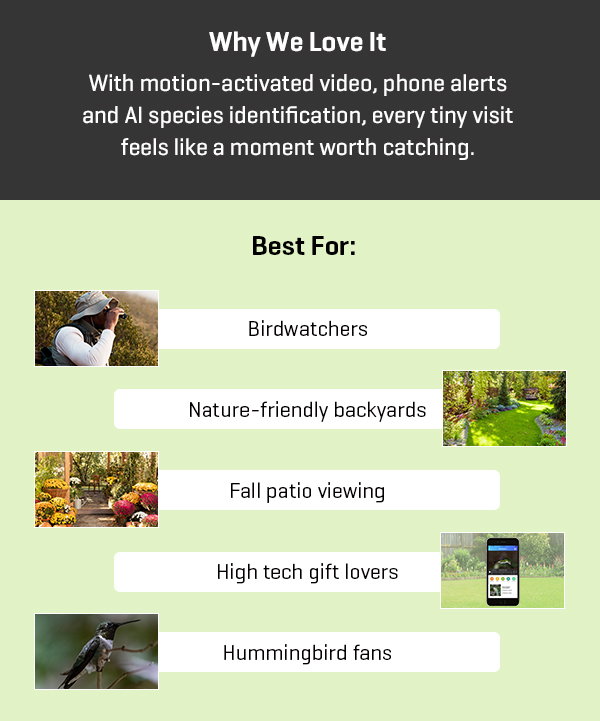 It's our best deal of the season: save big on our Video Camera Hummingbird Feeder
