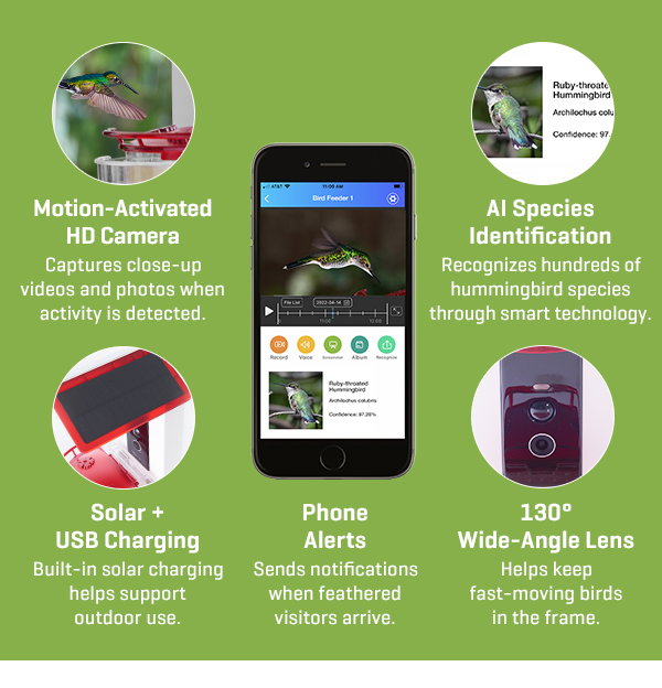 It's our best deal of the season: save big on our Video Camera Hummingbird Feeder