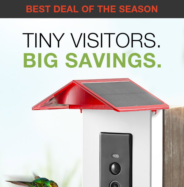 It's our best deal of the season: save big on our Video Camera Hummingbird Feeder