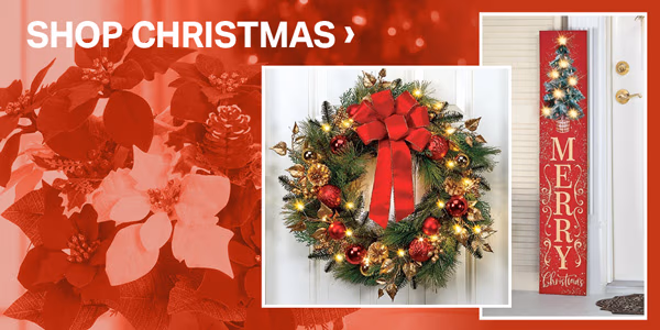 Shop Christmas