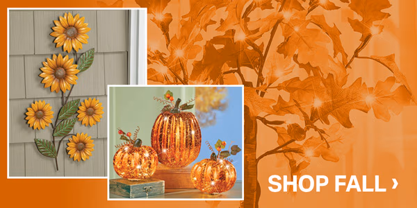Shop Fall Décor