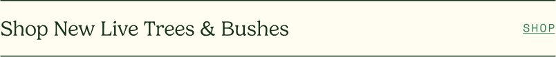 Shop New Live Trees & Bushes