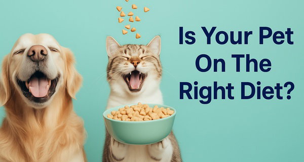 Up to 56% Off At-Home Pet Food Sensitivity Testing