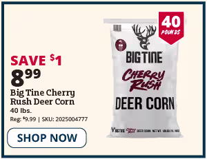 big tine deer corn