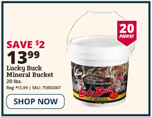 lucky buck mineral bucket