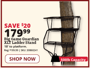 xlt ladder stand
