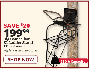 xl ladder stand