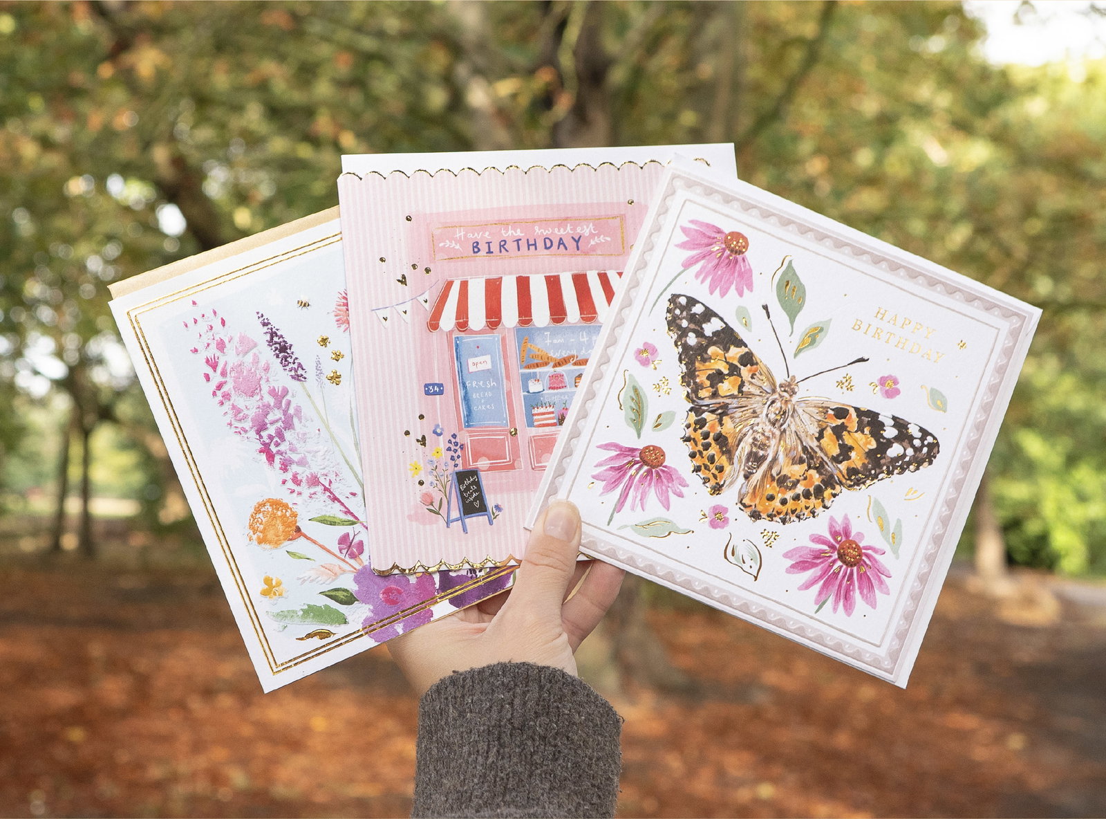 Whistlefish birthday cards held against an autumn woodland backdrop. Shop 11 everyday cards for £12.