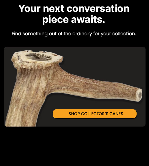 Your next conversation piece awaits