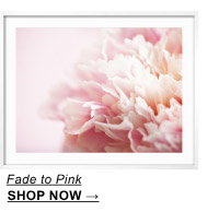Fade to Pink by Doug Chinnery