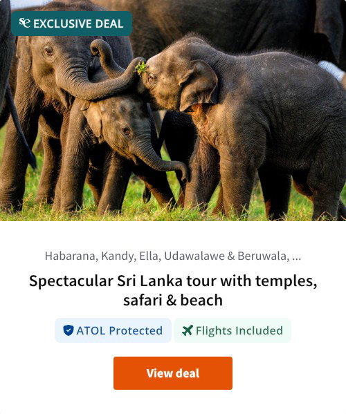 Spectacular Sri Lanka tour with temples, safari &amp; beach