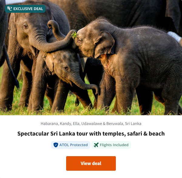 Spectacular Sri Lanka tour with temples, safari & beach