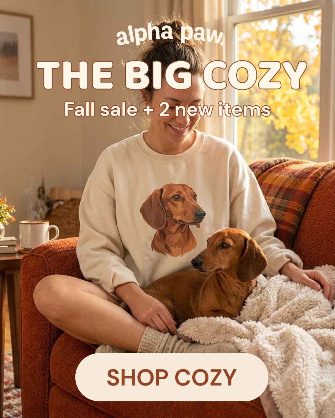 the big cozy