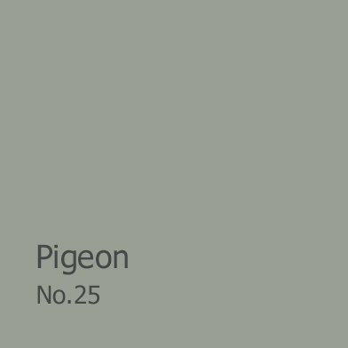 Square banner of Pigeon