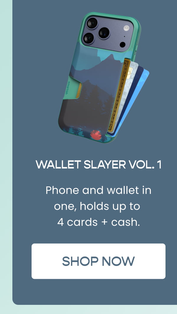 Wallet Slayer Vol. 1
