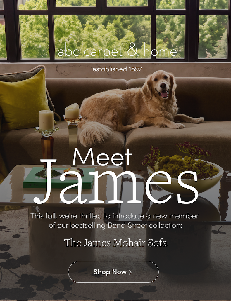 Meet James