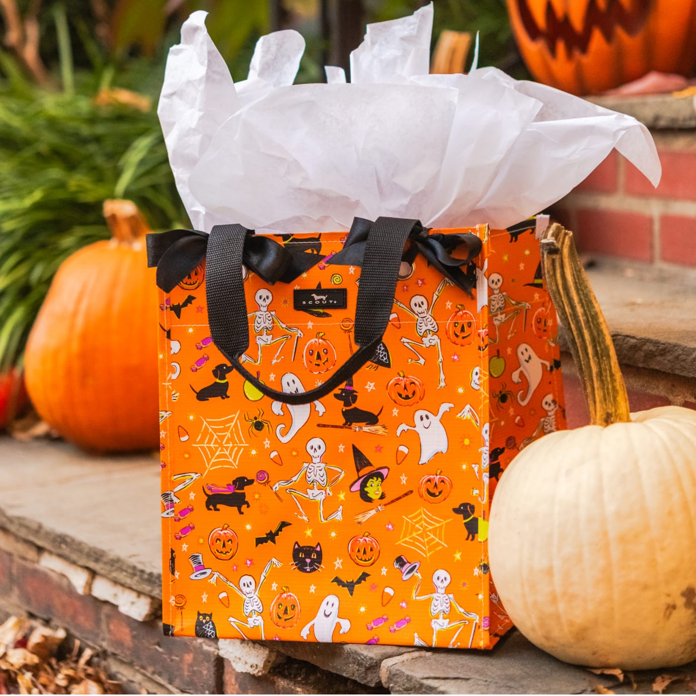SCOUT Gift Bag in Boogie Nights pattern.