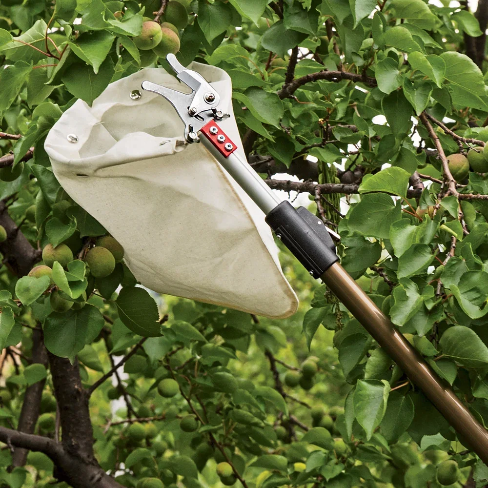 Image of Telescopic Fruit Picker