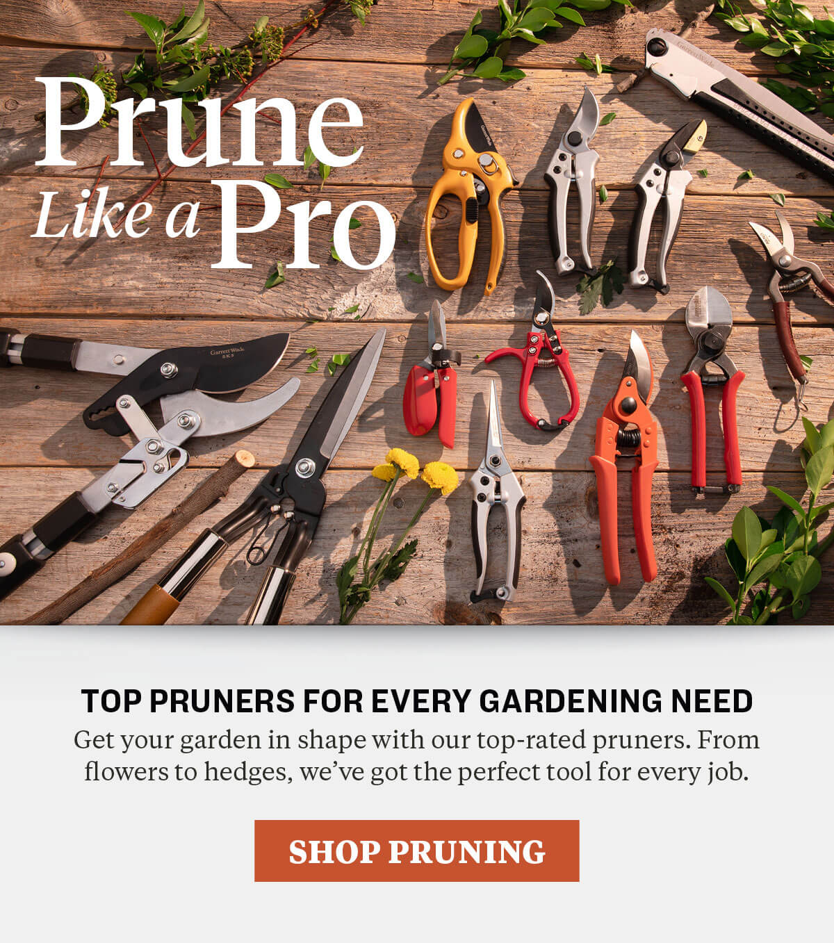 prune