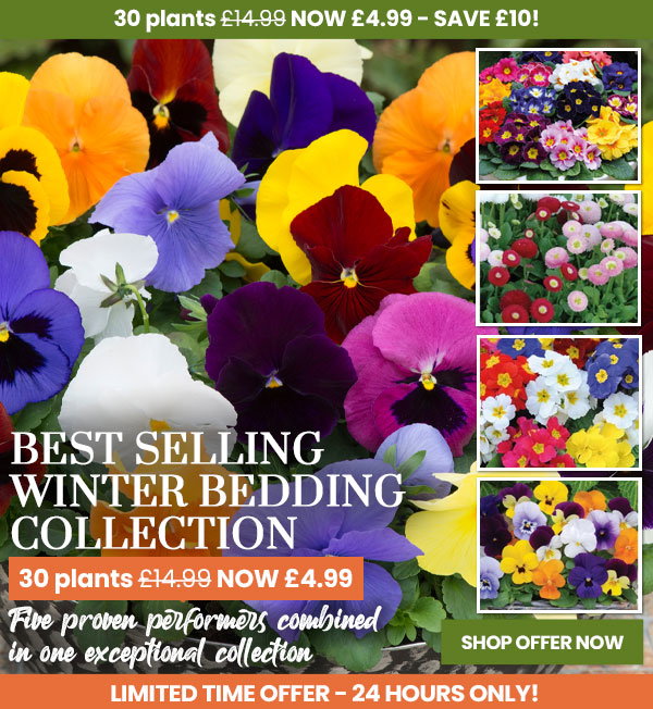 Winter Best Selling Bedding Collection