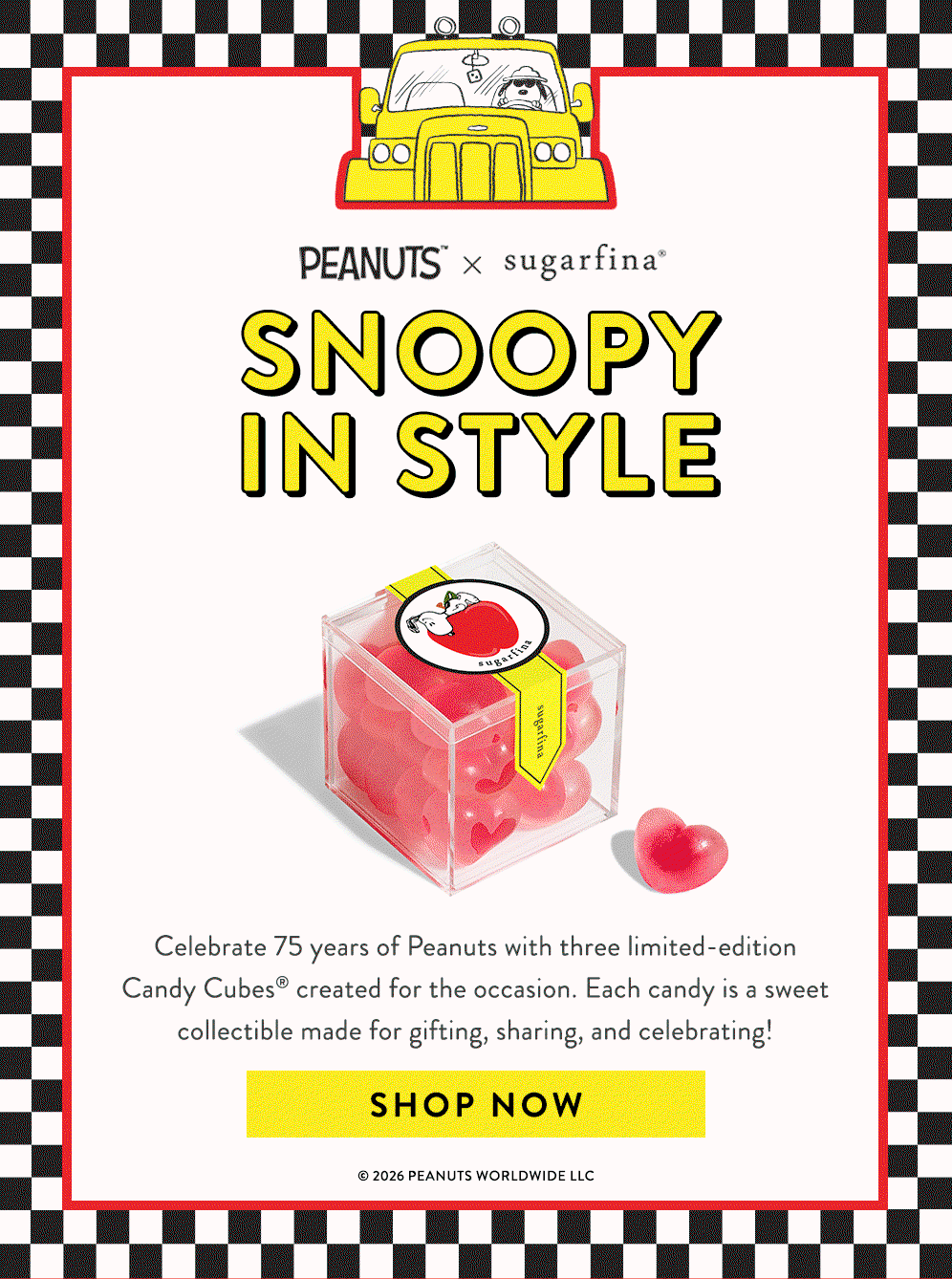 Snoopy in Style