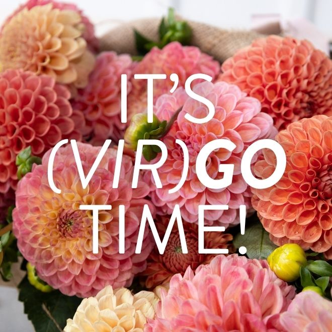 Send flowers to the Virgos in your life. Order now for next week's delivery.