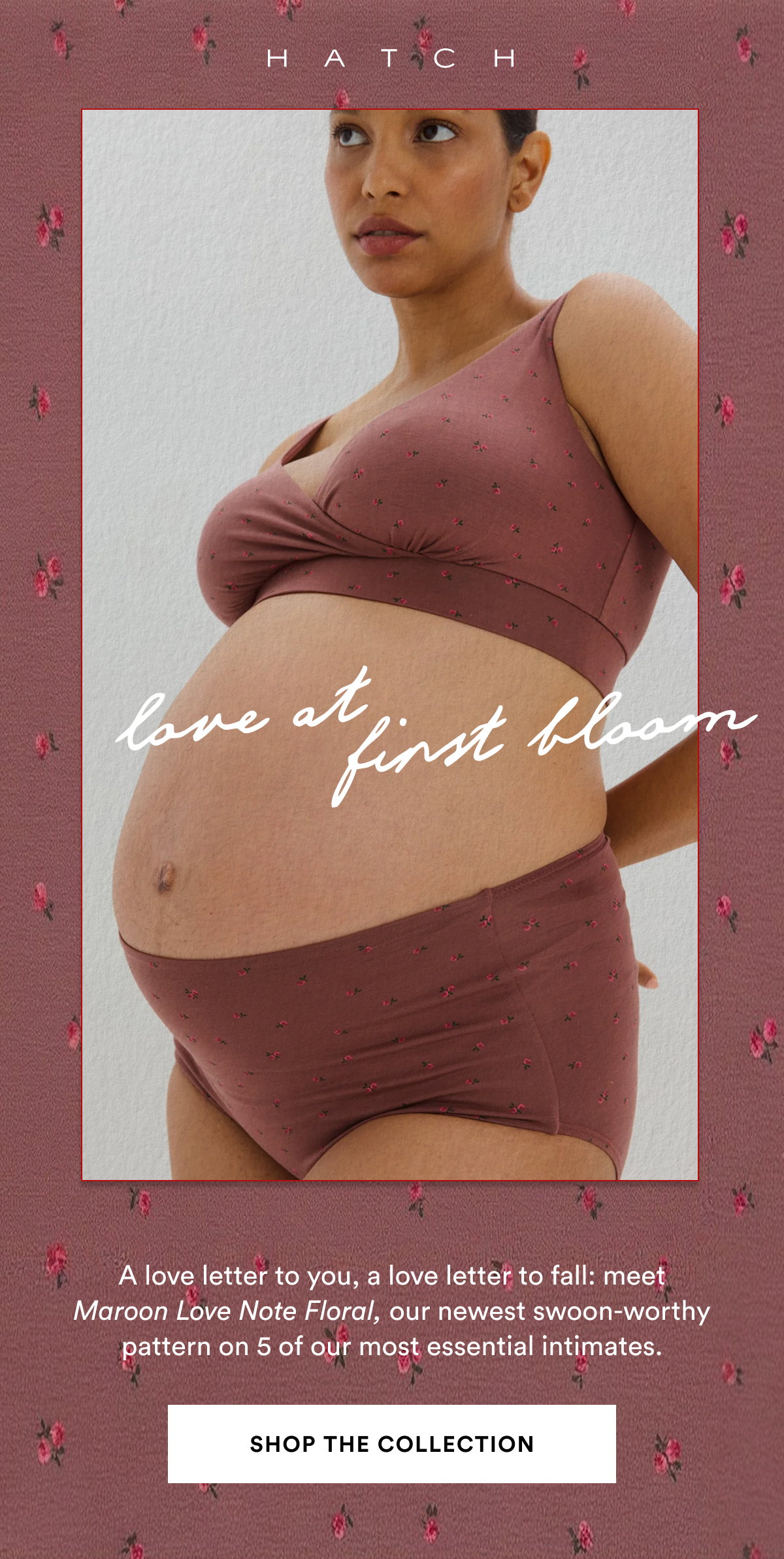 Love at First Bloom